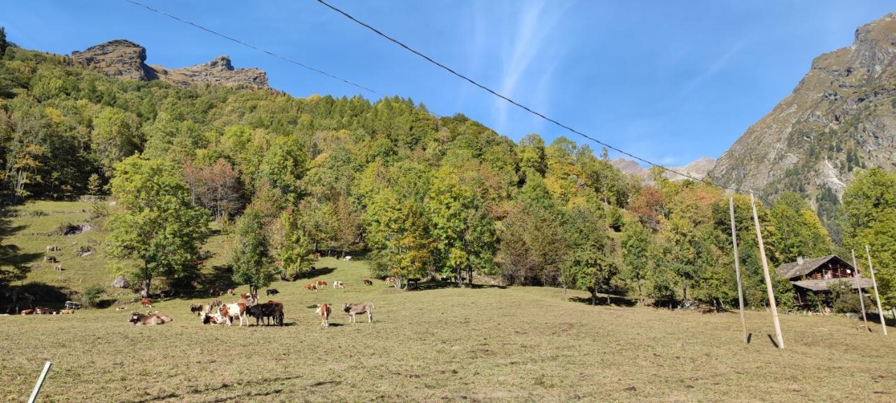 Agriturismo Alagna Екстер'єр фото