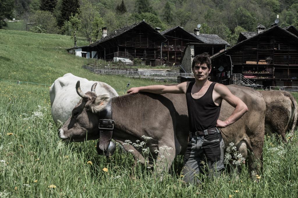 Agriturismo Alagna Екстер'єр фото